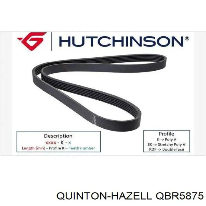 Ремінь кондиціонера QUINTON HAZELL QBR5875