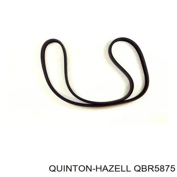 QBR5875 QUINTON HAZELL Поліклиновий ремінь