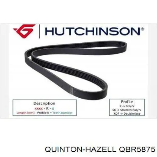 Ремінь генератора QBR5875 QUINTON HAZELL