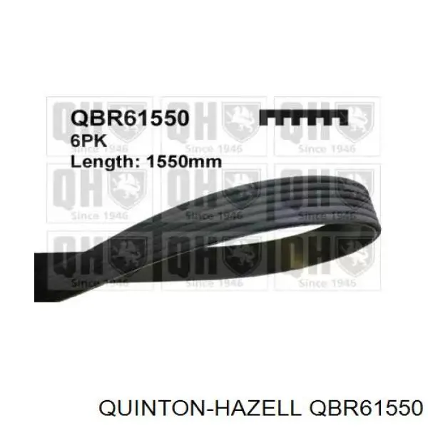 Клиновий ремінь QUINTON HAZELL QBR61550 ціна, від 14.21 USD
