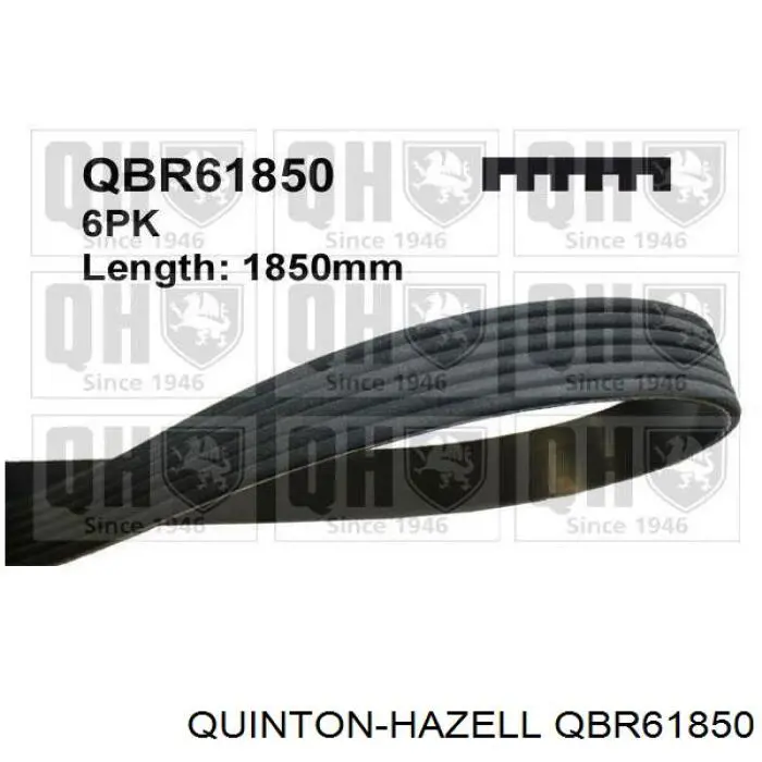 Ремінь приводний, агрегатів QBR61850 QUINTON HAZELL