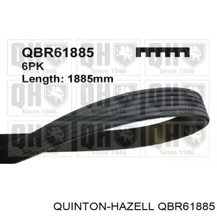 Купити QBR61885 QUINTON HAZELL Ремінь генератора