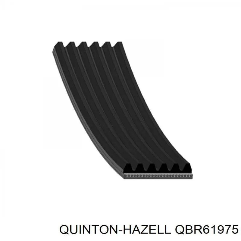 QBR61975 QUINTON HAZELL ремінь приводний, агрегатів