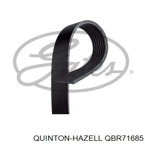 Ремінь генератора QBR71685 QUINTON HAZELL