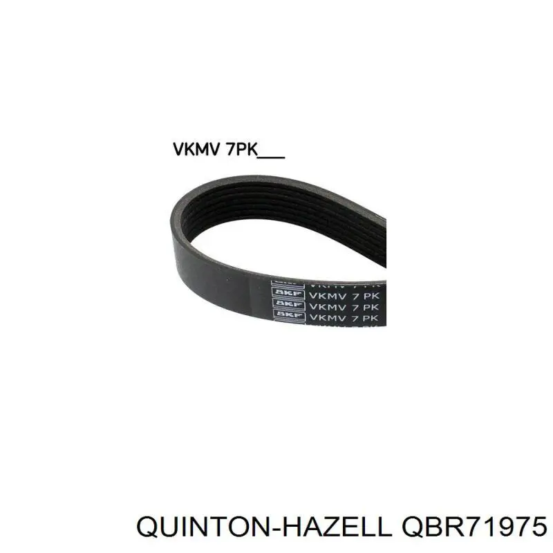 Клиновий ремінь QUINTON HAZELL QBR71975 ціна, від 18.80 USD