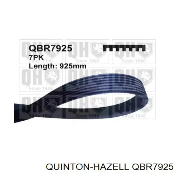 Купити 7PK920 Continental/Siemens Ремінь генератора