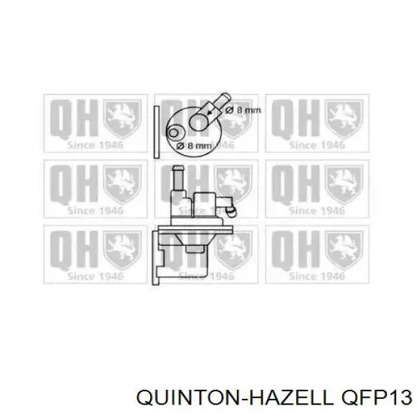  QFP13 QUINTON HAZELL