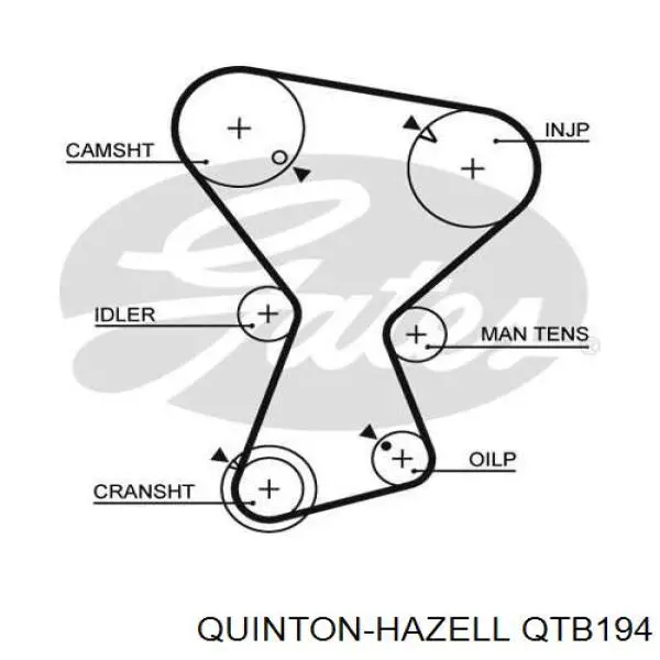 Ремінь ГРМ QTB194 QUINTON HAZELL