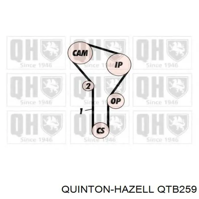 Ремінь ГРМ QTB259 QUINTON HAZELL