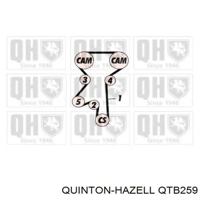 Купити QTB259 QUINTON HAZELL Ремінь газорозподільного механізму