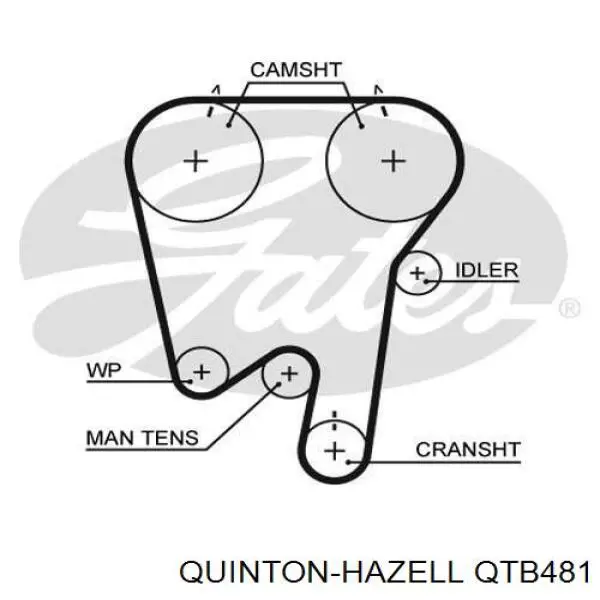 QTB481 QUINTON HAZELL Ремінь двигуна