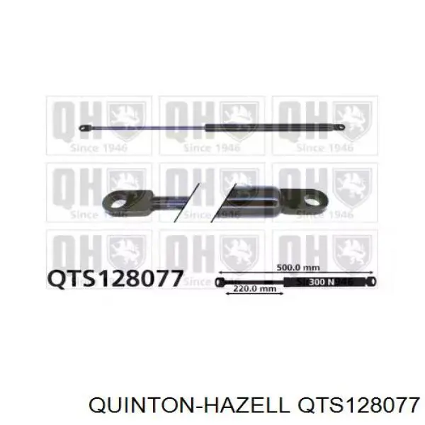 Амортизатор двері задньої BMW 51248103180 ціна, від 16.18 USD