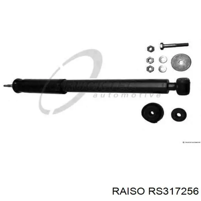 RS317256 Raiso амортизатор передній