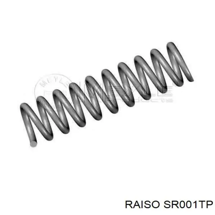 Пружина задня Raiso SR001TP ціна, від 23.00 USD