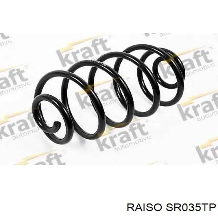 Купити SR035TP Raiso Задні пружини