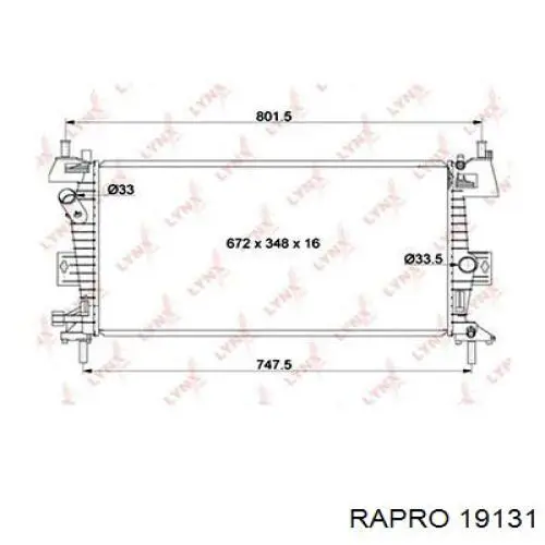19131 Rapro шланг/патрубок радіатора охолодження, нижній