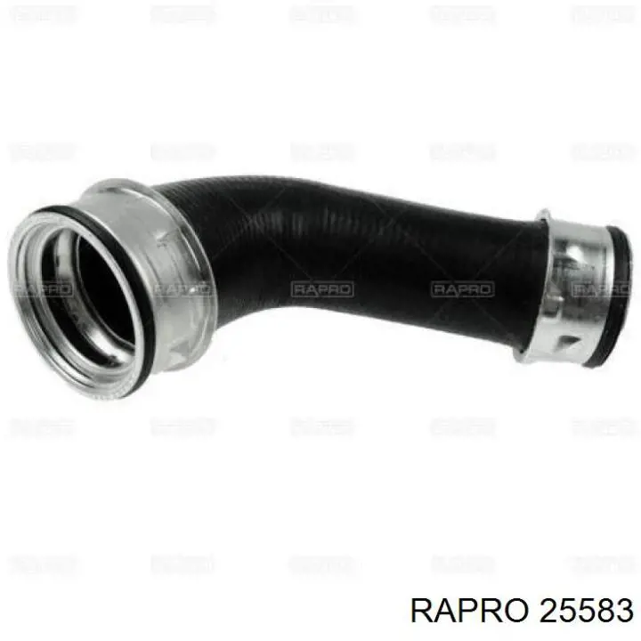 Скоба патрубка интеркуллера 25583 Rapro