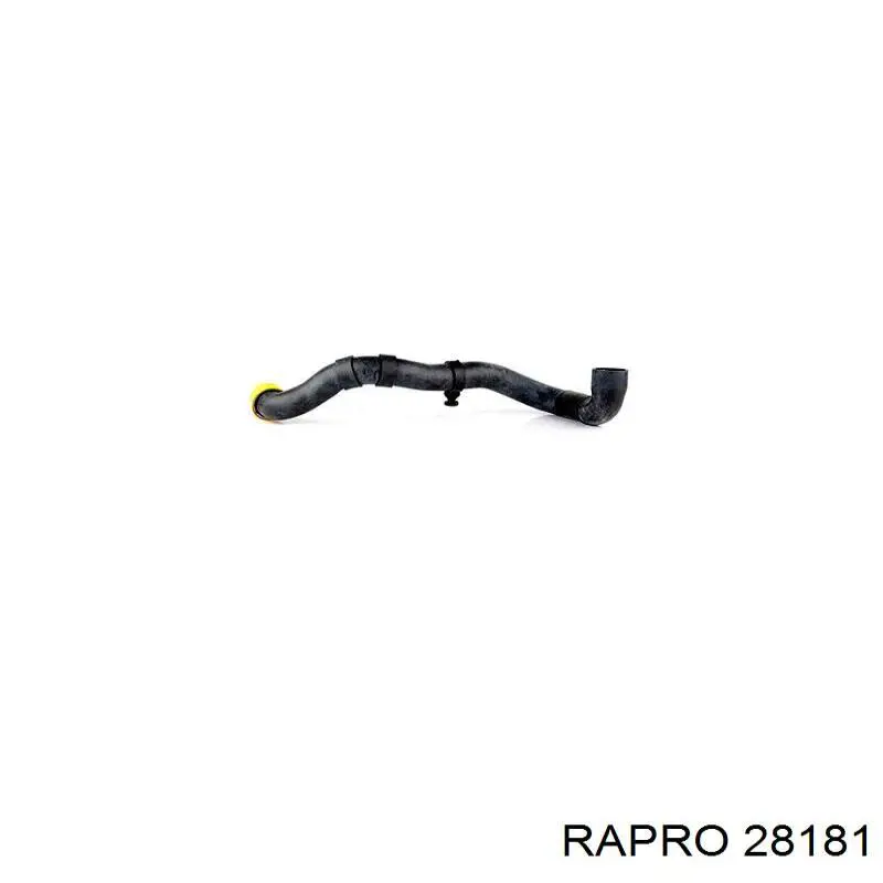28181 Rapro шланг/патрубок радіатора охолодження, нижній