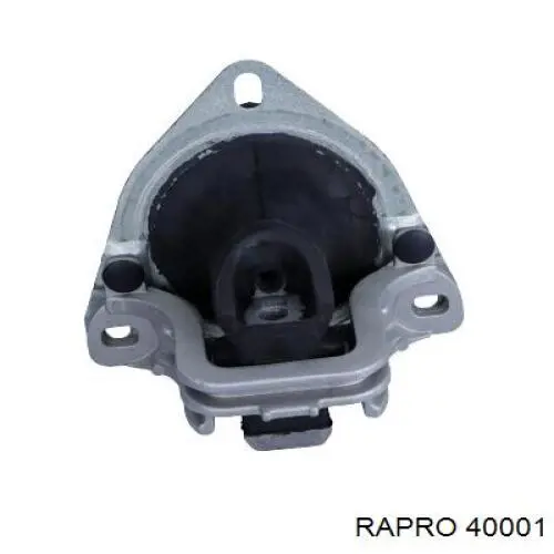  40001 Rapro