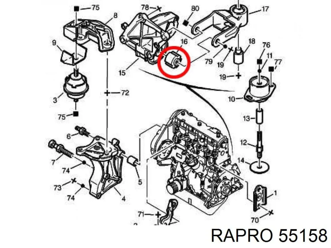 55158 Rapro подушка (опора двигуна, задня (сайлентблок))