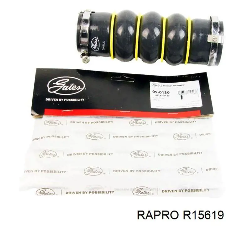 R15619 Rapro шланг/патрубок інтеркулера, правий