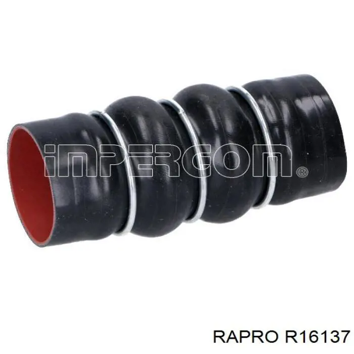 Купити R16137 Rapro Шланг/патрубок интеркуллера