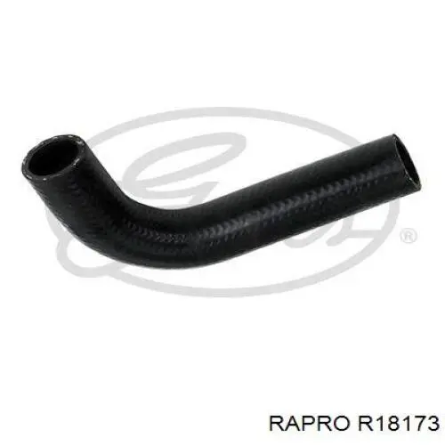 Шланг/патрубок радіатора охолодження, верхній Rapro R18173 ціна, від 7.84 USD