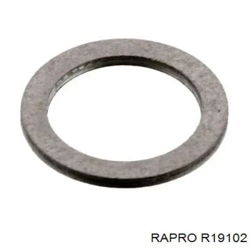R19102 Rapro Шланг/патрубок радіатора охолодження, нижній