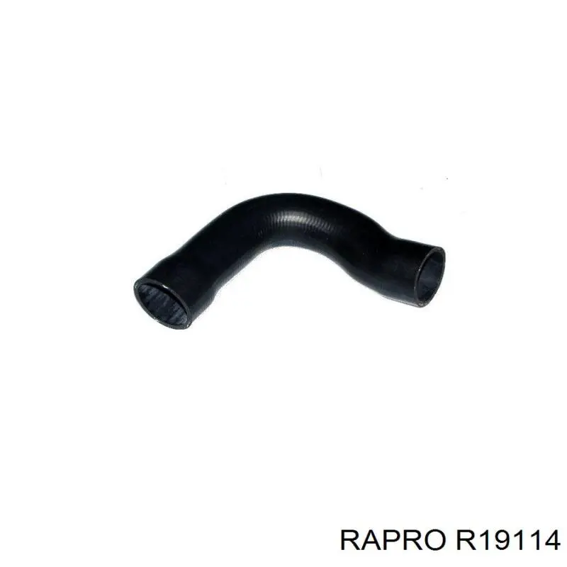 Купити R19114 Rapro Шланг/патрубок радіатора охолодження, верхній