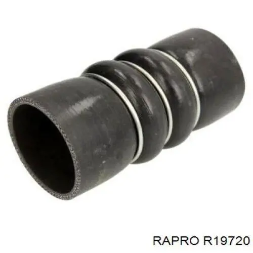Купити R19720 Rapro Шланг/патрубок интеркуллера