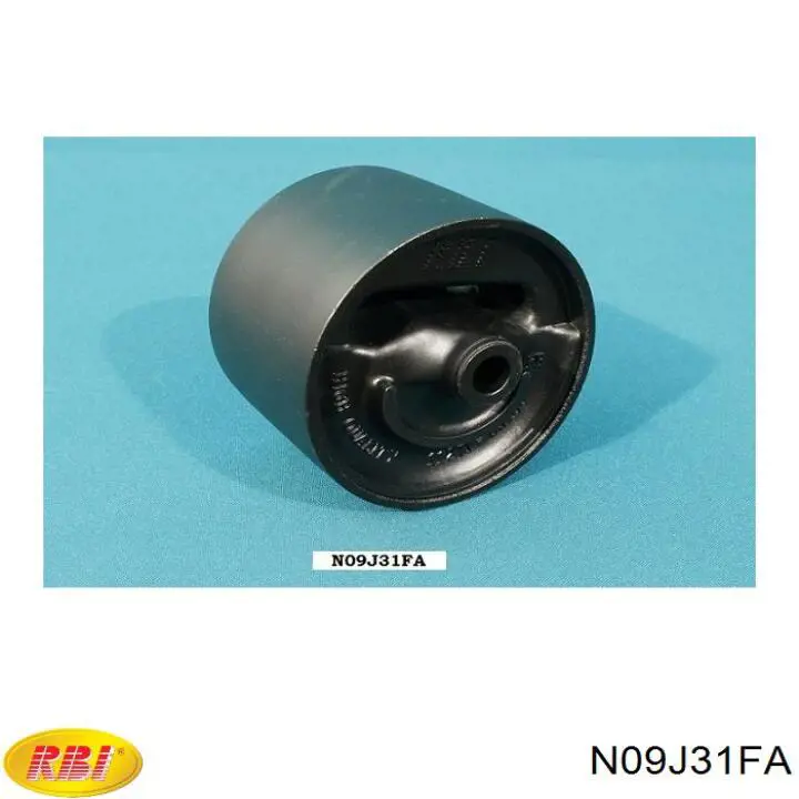 N09J31FA RBI 