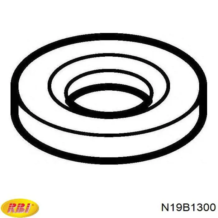 Кільце ущільнювальне свічкового колодязя N19B1300 RBI