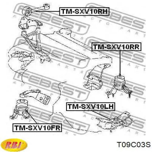Купити T09C03S RBI Подушка (опора) двигуна, права