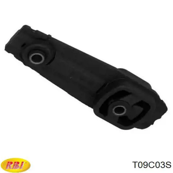 T09C03S RBI Права подушка мотора