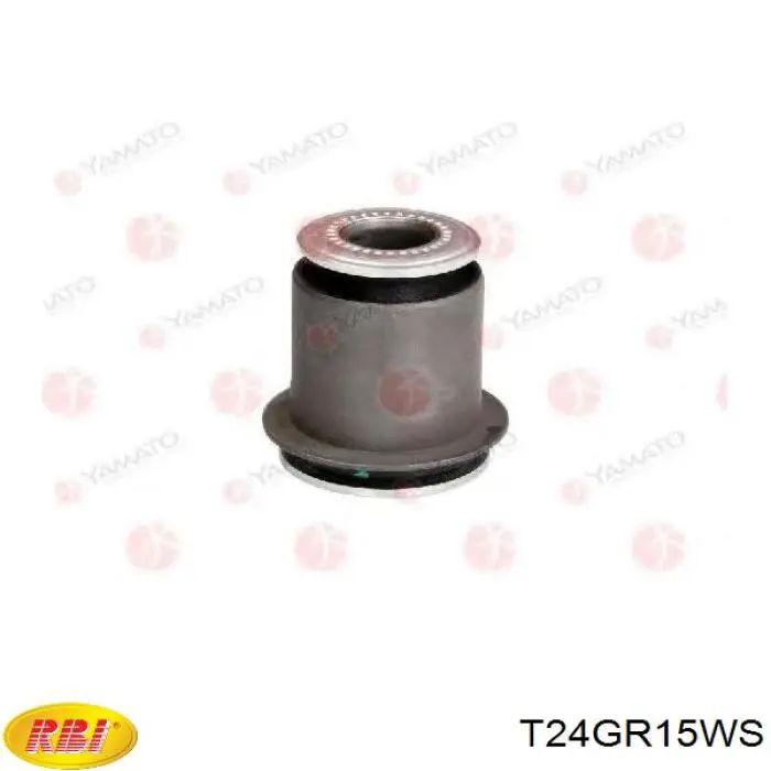 Купити T24GR15WS RBI 