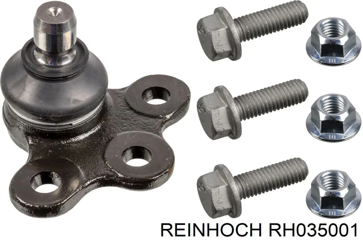 RH035001 Reinhoch Кульові на авто