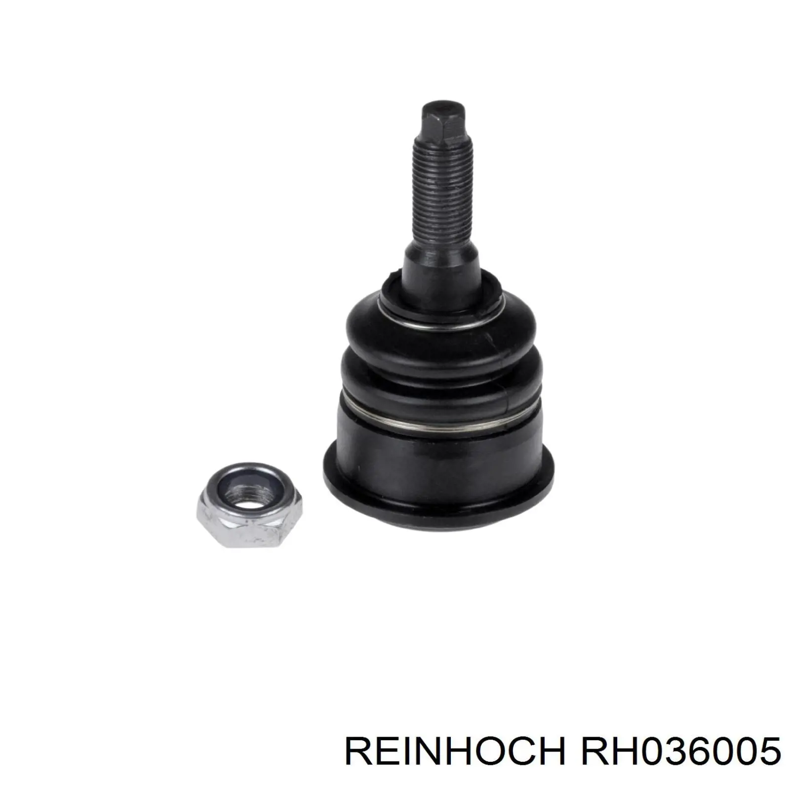 RH036005 Reinhoch Кульові на авто