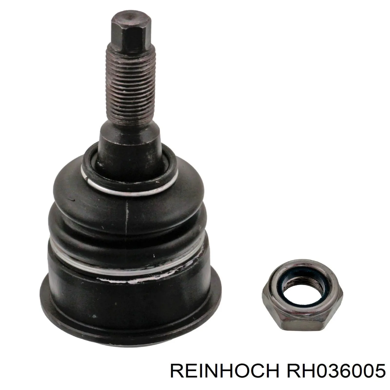Купити RH036005 Reinhoch Кульова опора, нижня