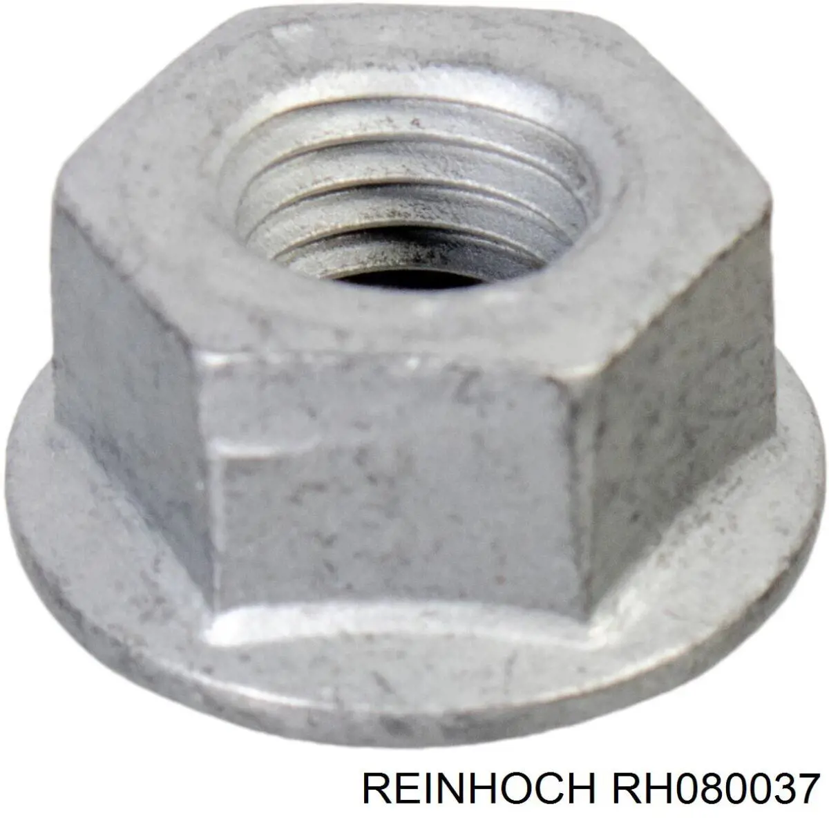 RH080037 Reinhoch цапфа - поворотний кулак передній, лівий