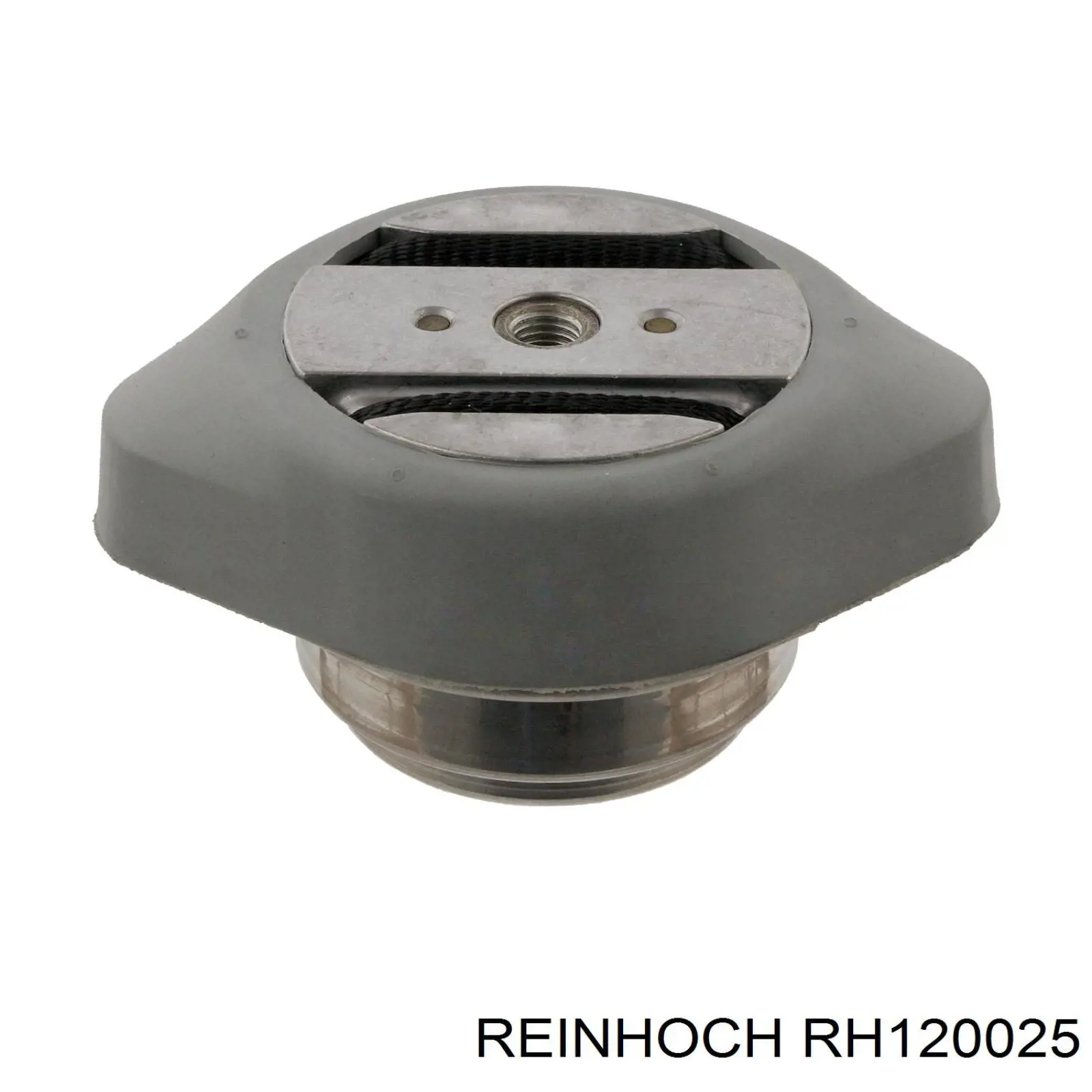 Подушка трансмісії (опора коробки передач) Reinhoch RH120025 ціна, від 26.48 USD