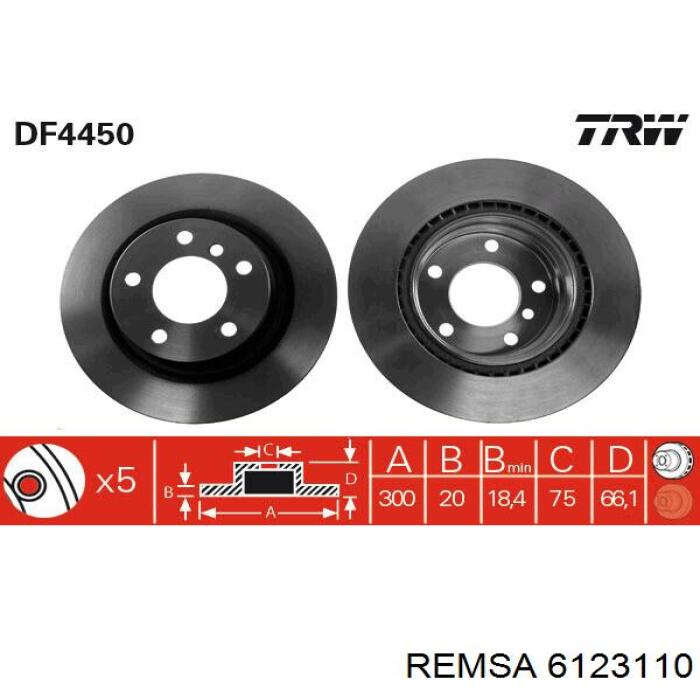 Гальмівні диски 6123110 Remsa