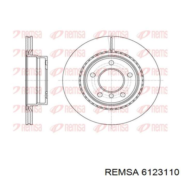 6123110 Remsa диск гальмівний задній