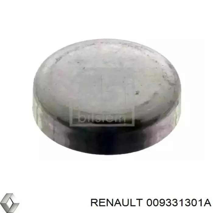 Заглушка блоку циліндрів 009331301A Renault (RVI)