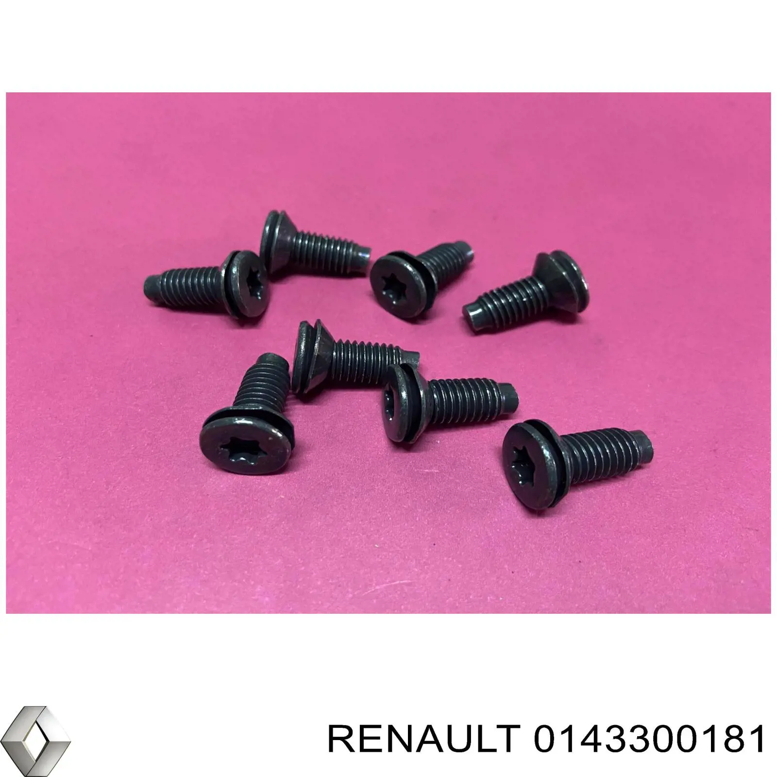 Купити 0143300181 Renault (RVI) Болт/гайка кріплення