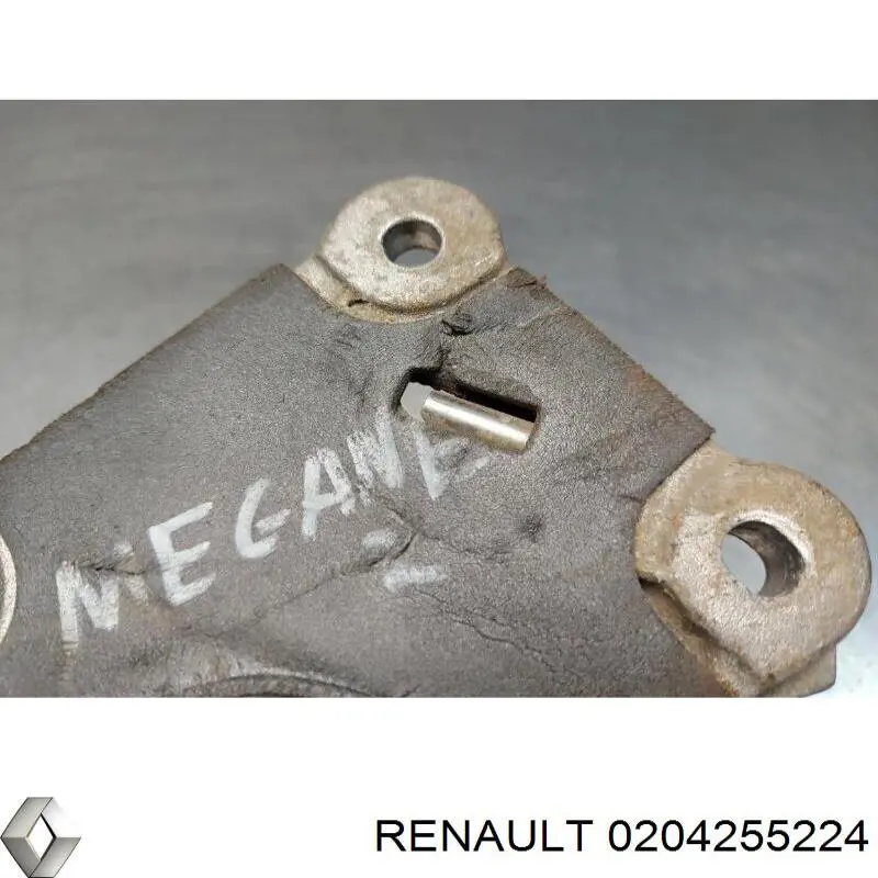  0204255224 Renault (RVI)