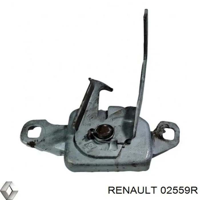 Купити 02559R Renault (RVI) 