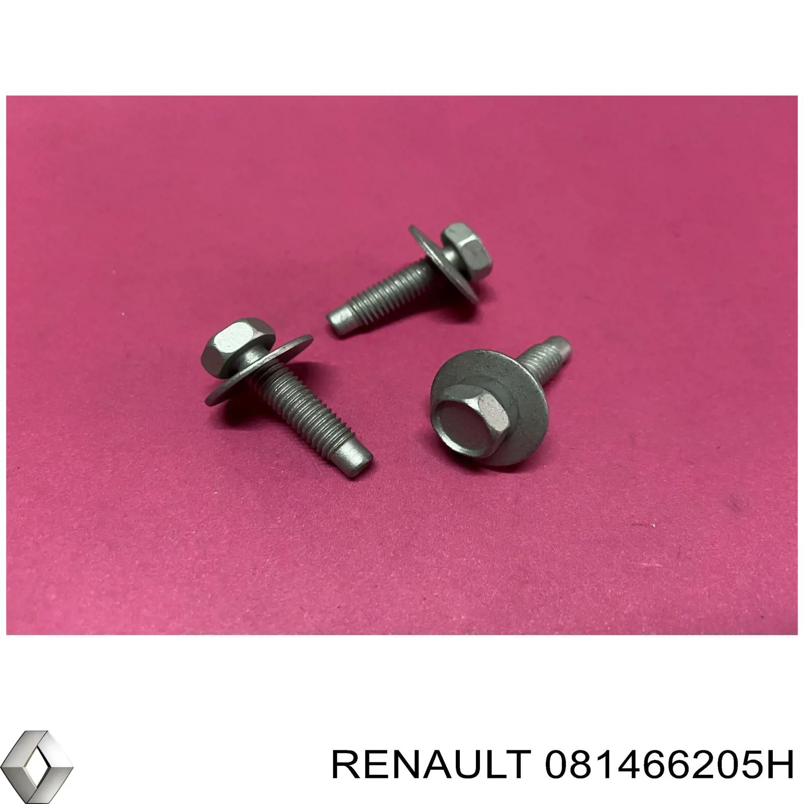 081466205H Renault (RVI) 