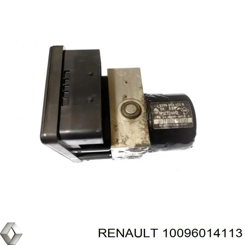 10096014113 Renault (RVI)