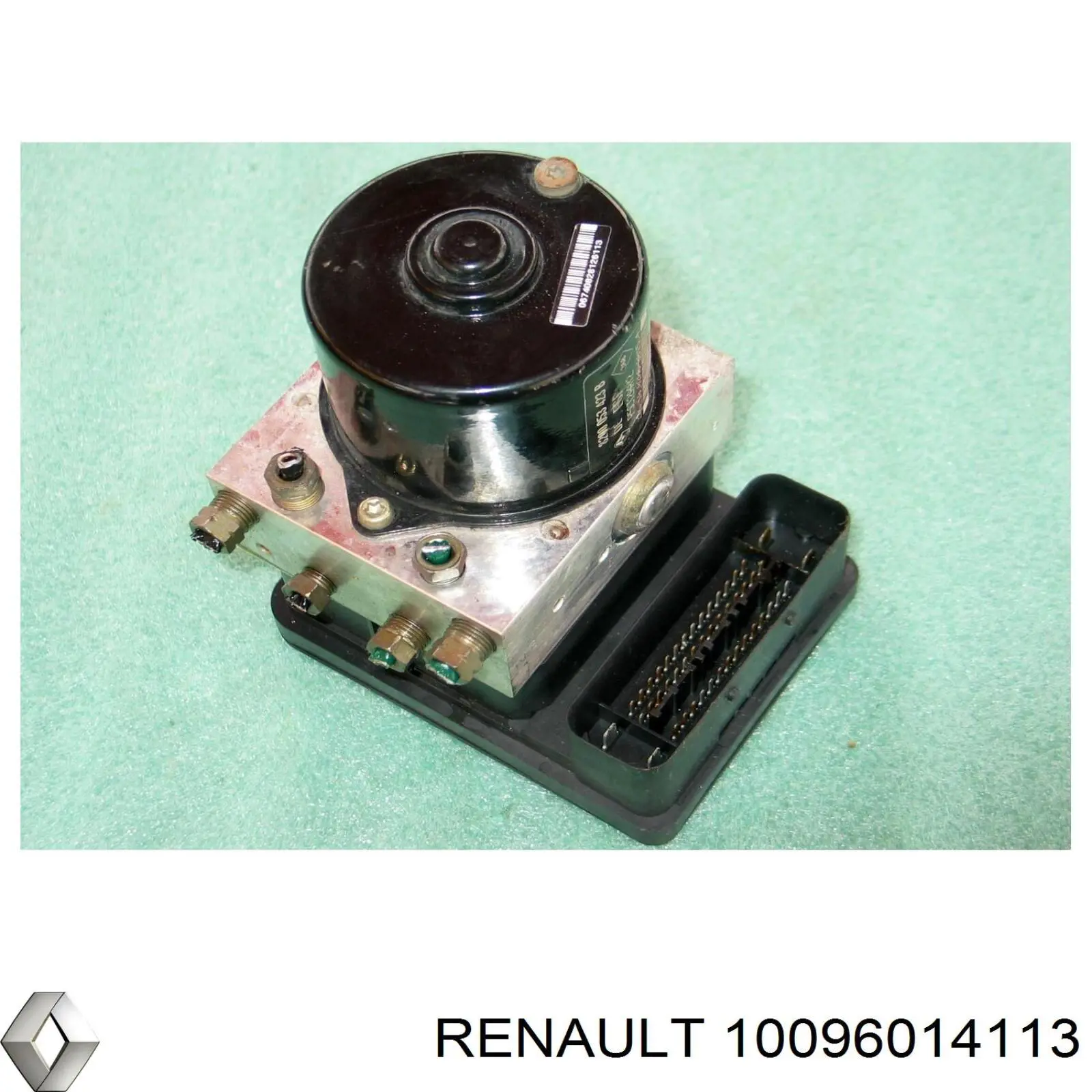 10096014113 Renault (RVI) 