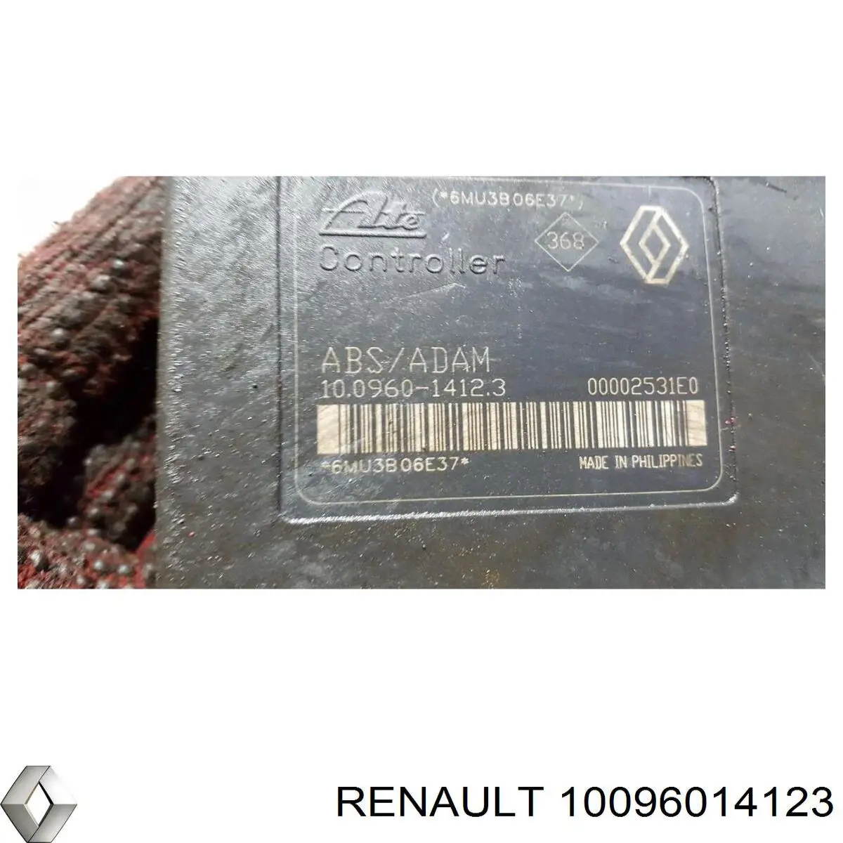  10096014123 Renault (RVI)